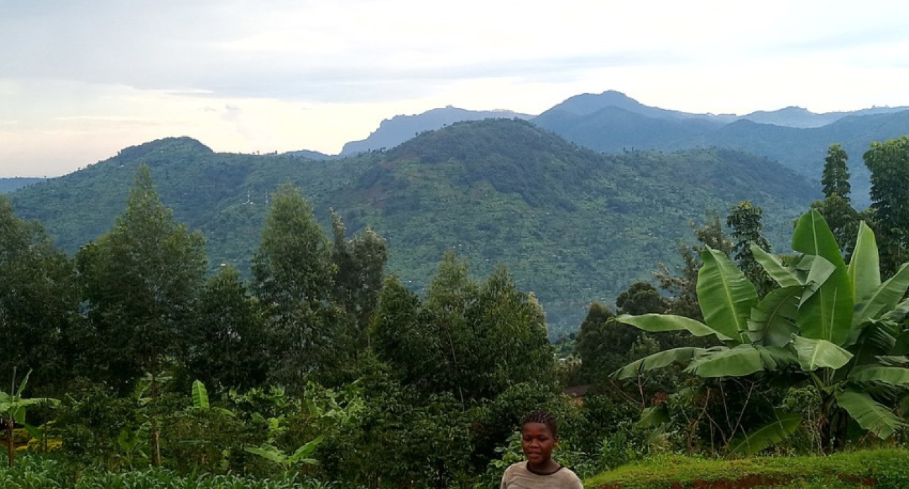 Hiking Mountain Elgon