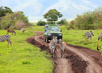 14 Days Safari and Adventure (Western and Eastern Uganda)